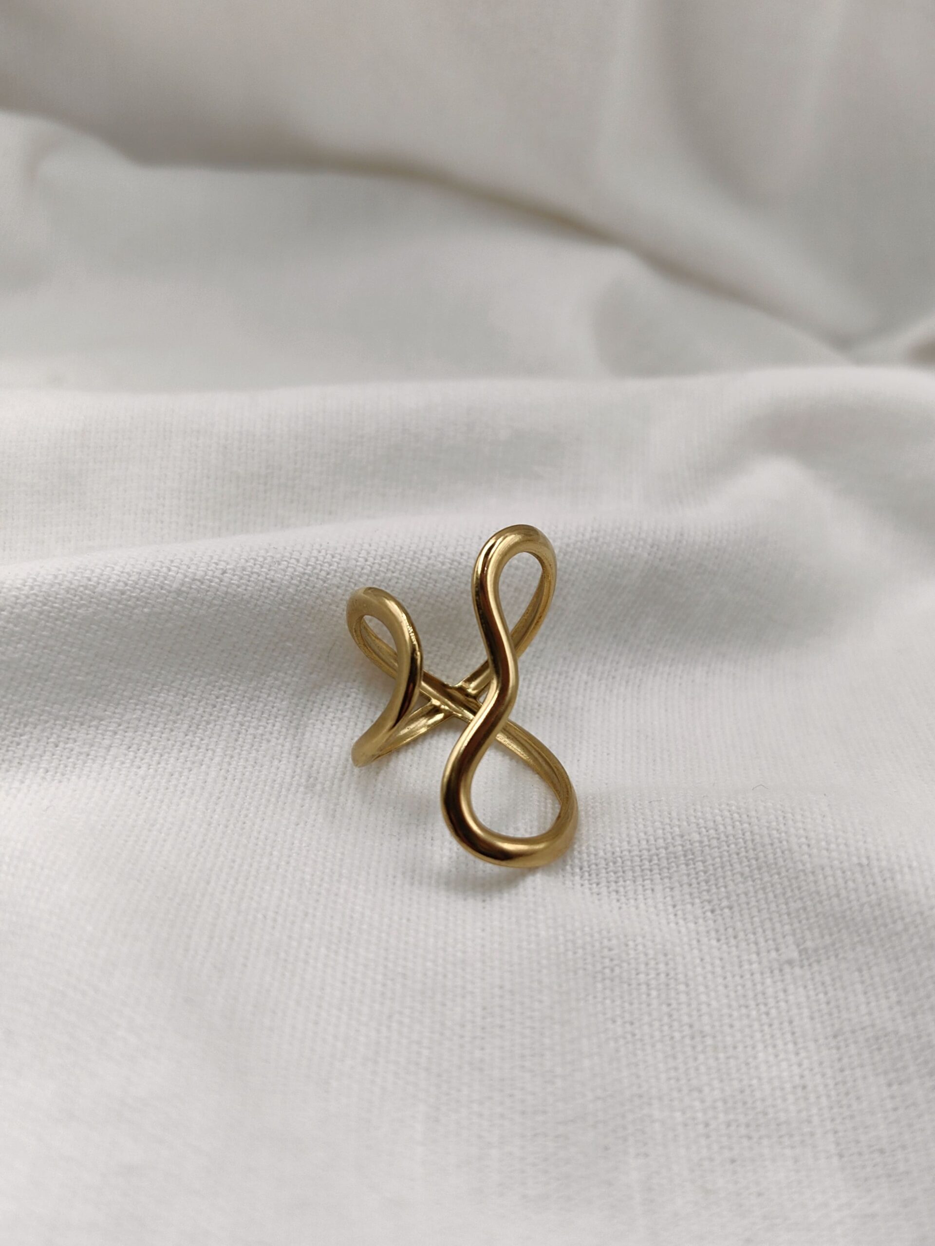 IMG_20260118_214927-01 Soma - Image 1